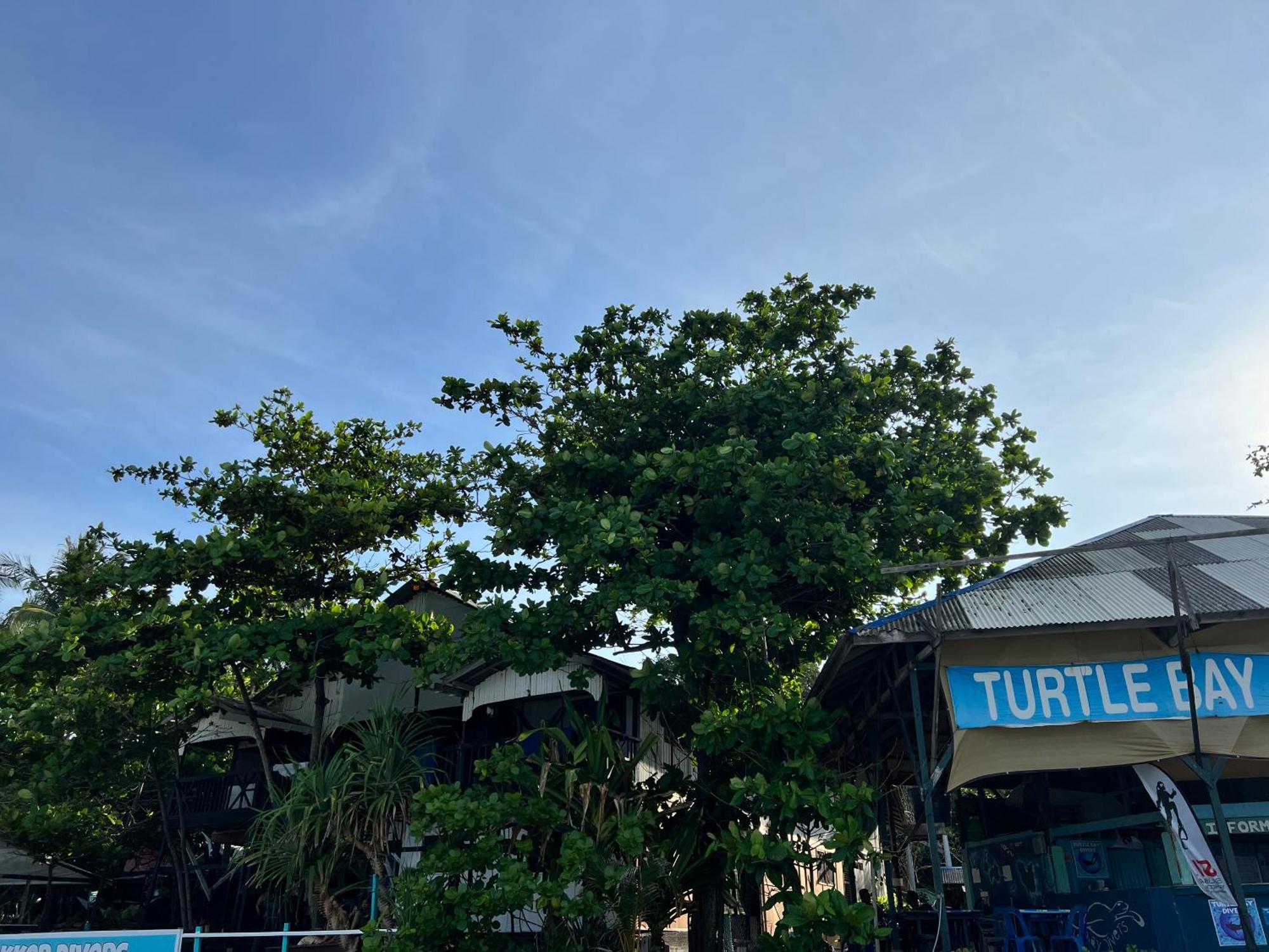 Ohlala Guesthouse Perhentian Islands Exterior photo